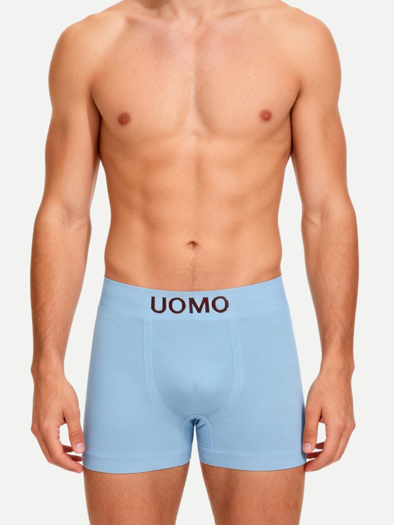 Premium Plus Size Ribbed Boxer Briefs (4416-1)