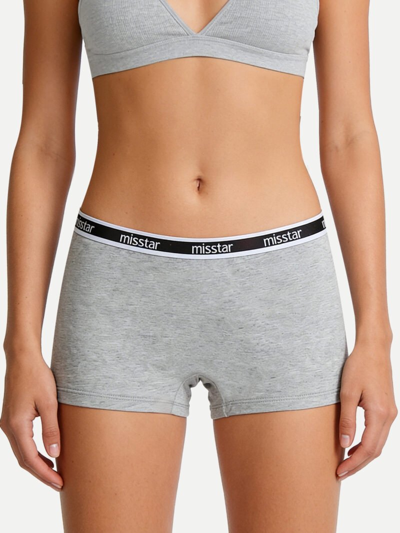 Boyshort Underwear, Seamless Comfort No-Chafe Briefs (10308)